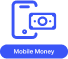 Payment Systems