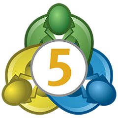 mt-5